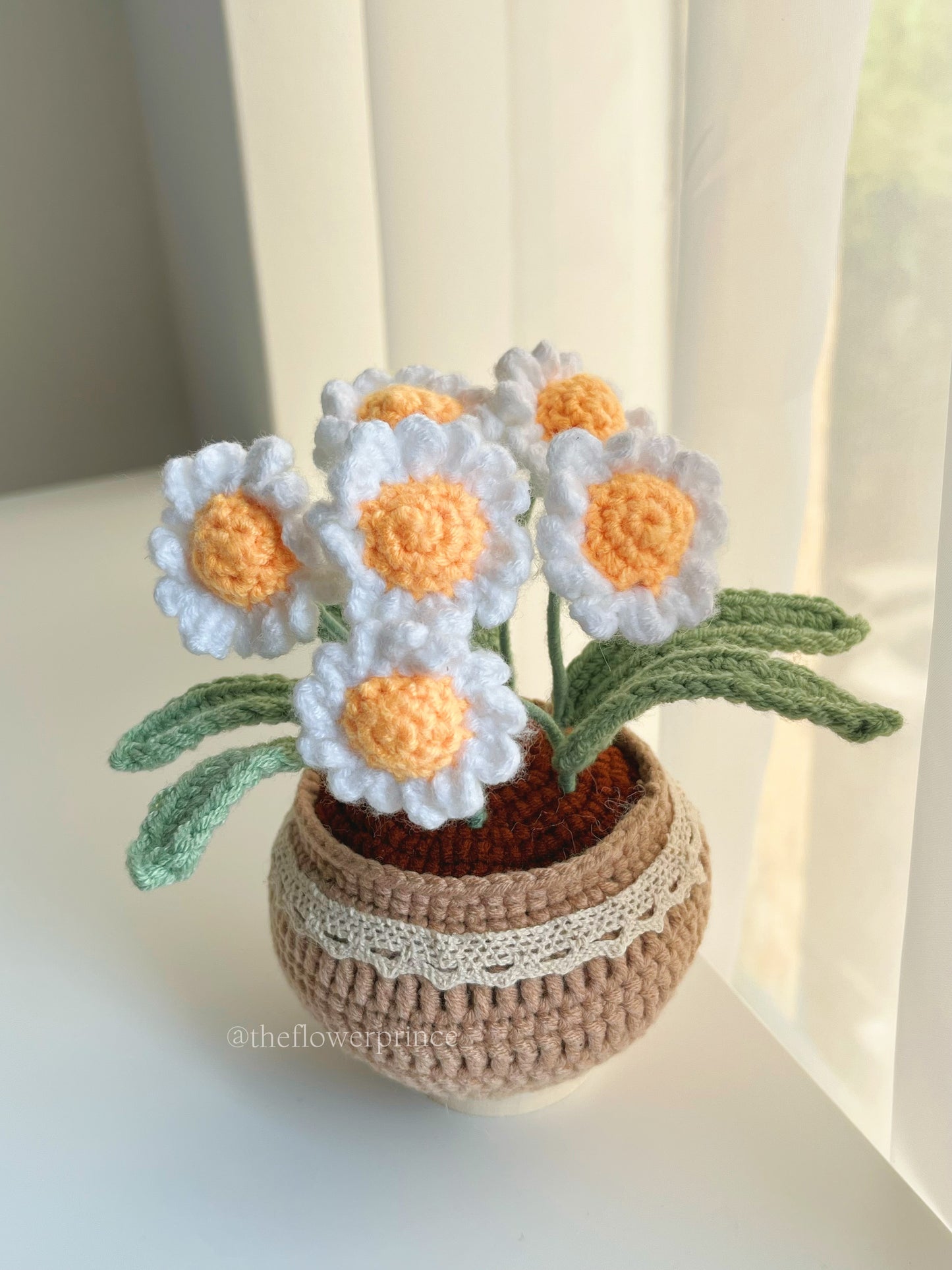 P15 - White Daisy Potted (Big)