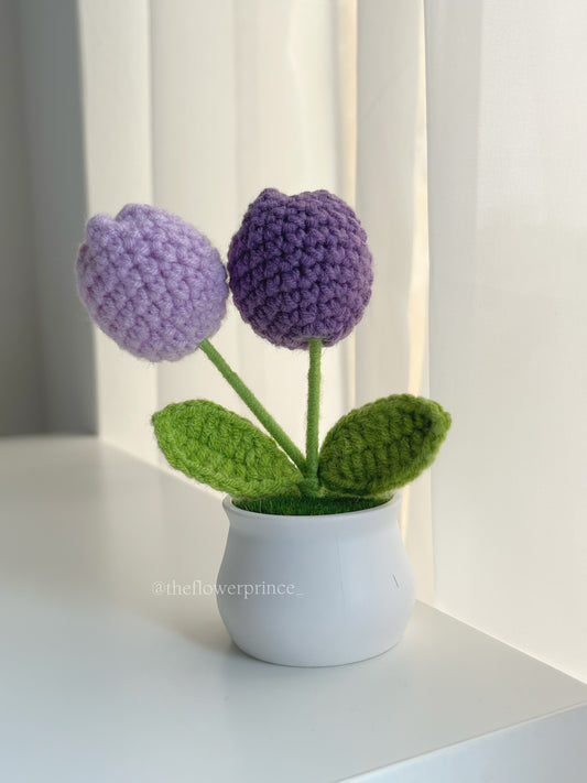 P07 - Purple Tulip Mini Potted (white based)