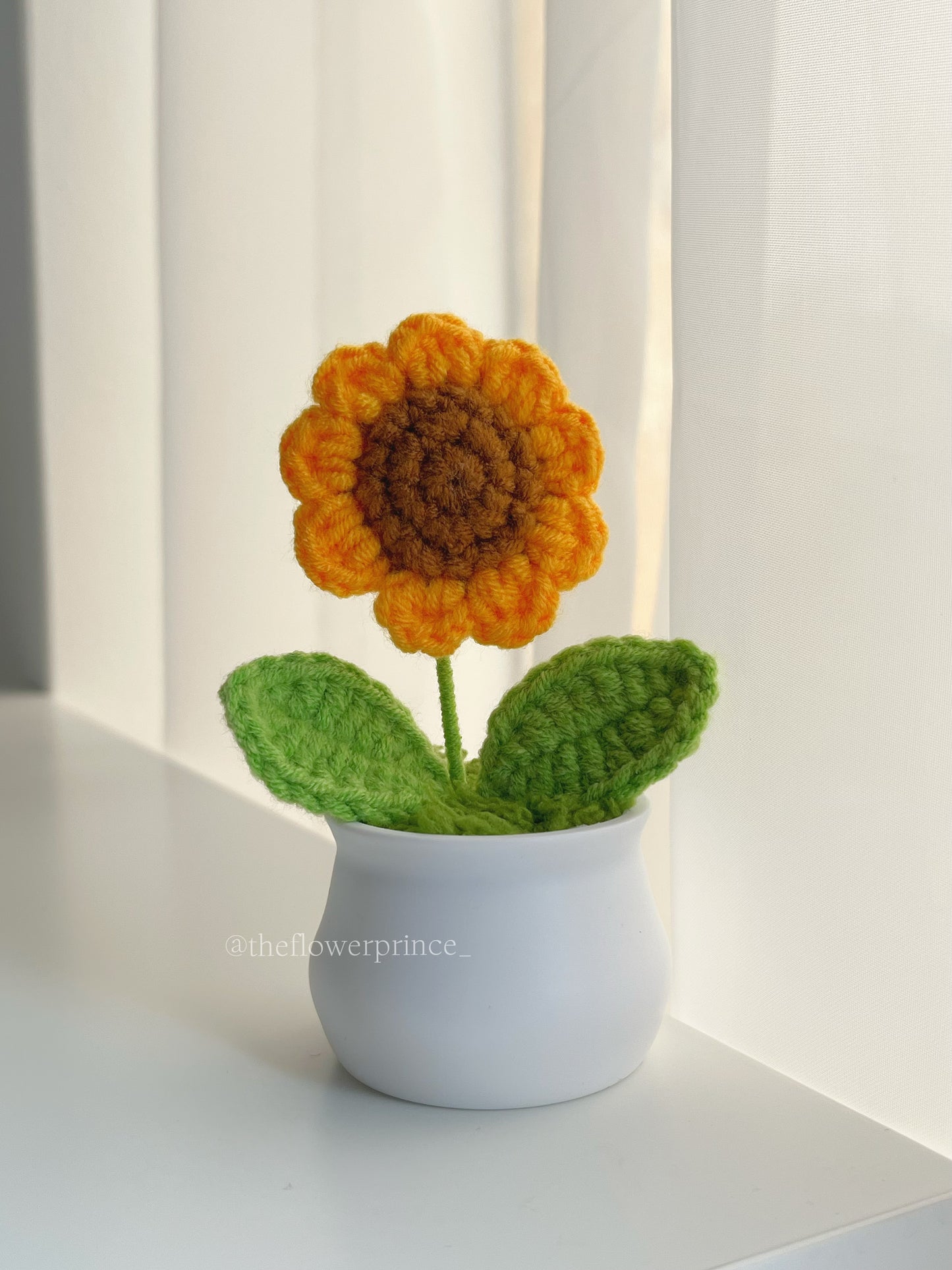 P05 - Sunflower Mini Potted (white based)