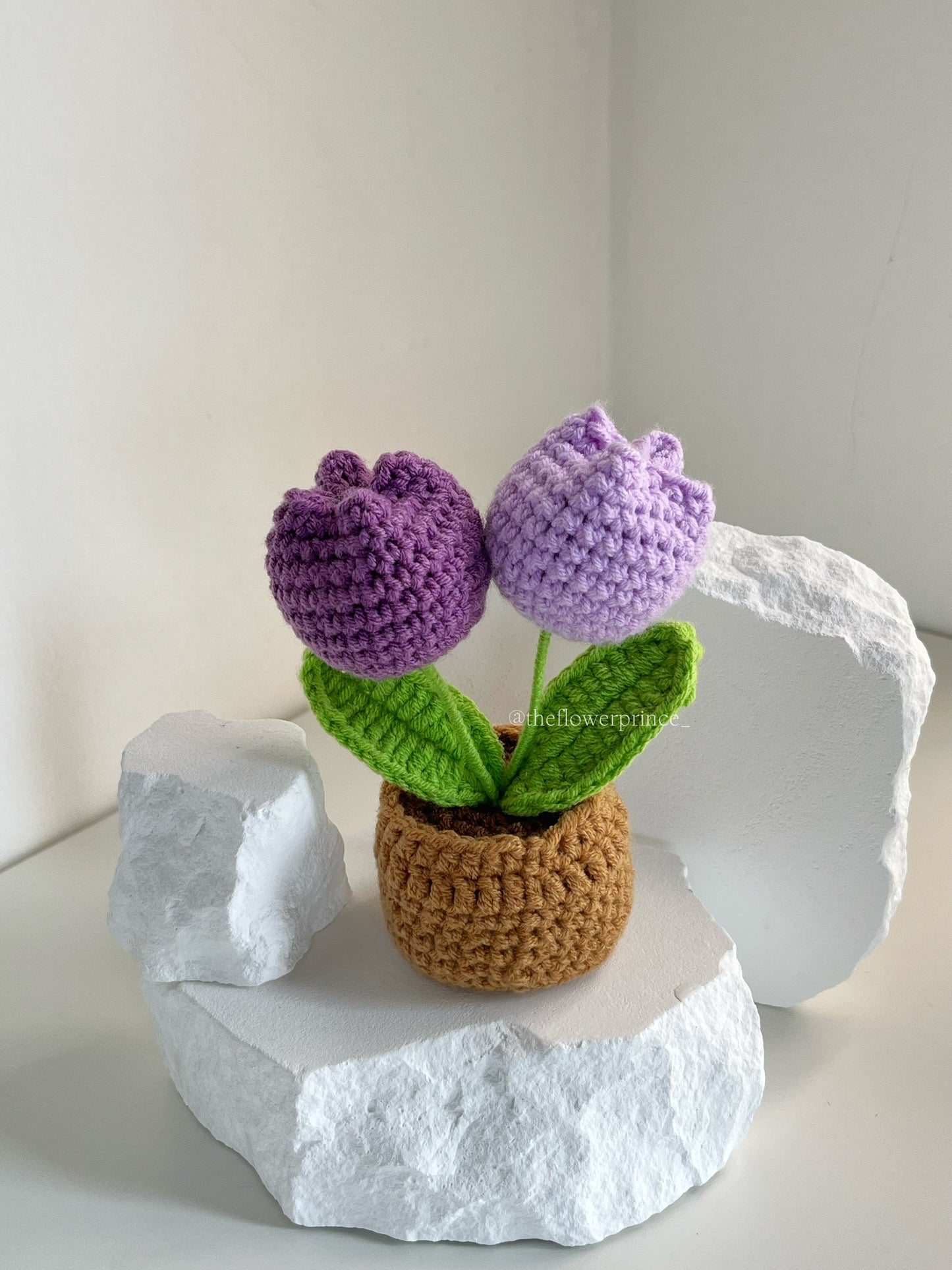 P07 - Purple Tulip Mini Potted