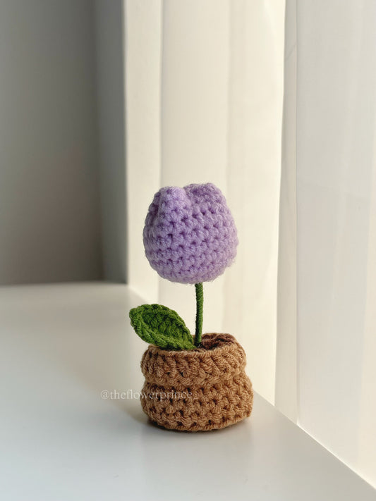P02 - Purple Tulip Mini Potted