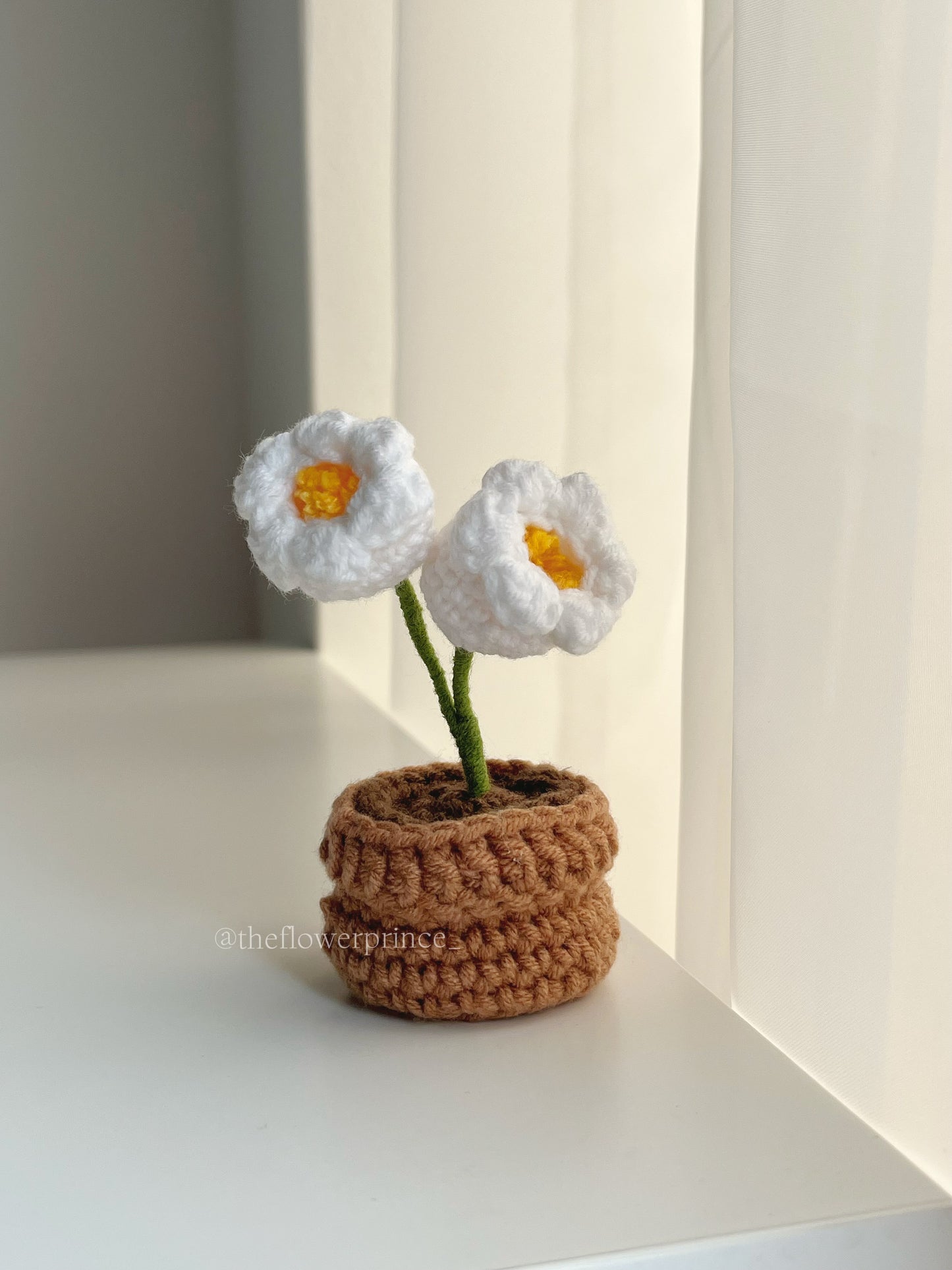 P04 - Lilyvalley Mini Potted