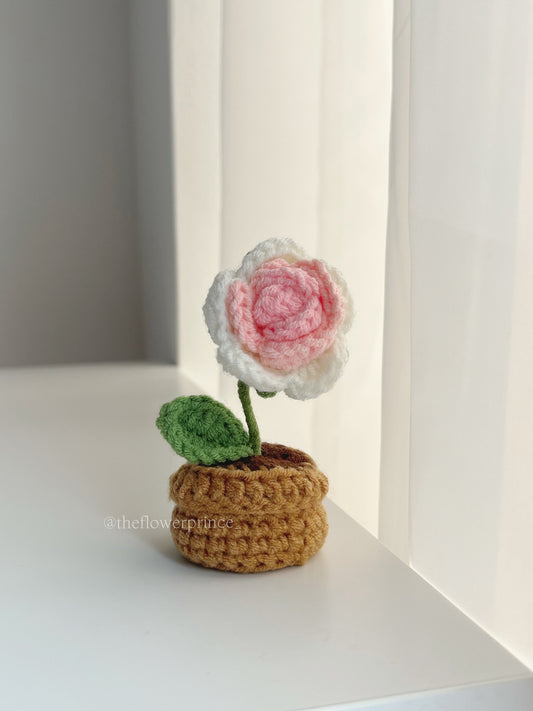 P01 - Pink Rose Mini Potted
