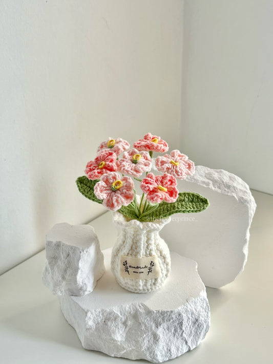 P12 - Pink Myosotis Potted