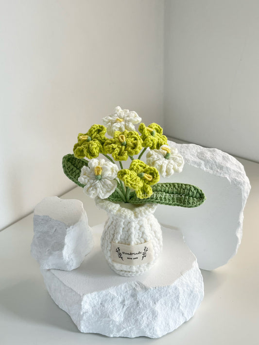 P11 - White Green Myosotis Potted