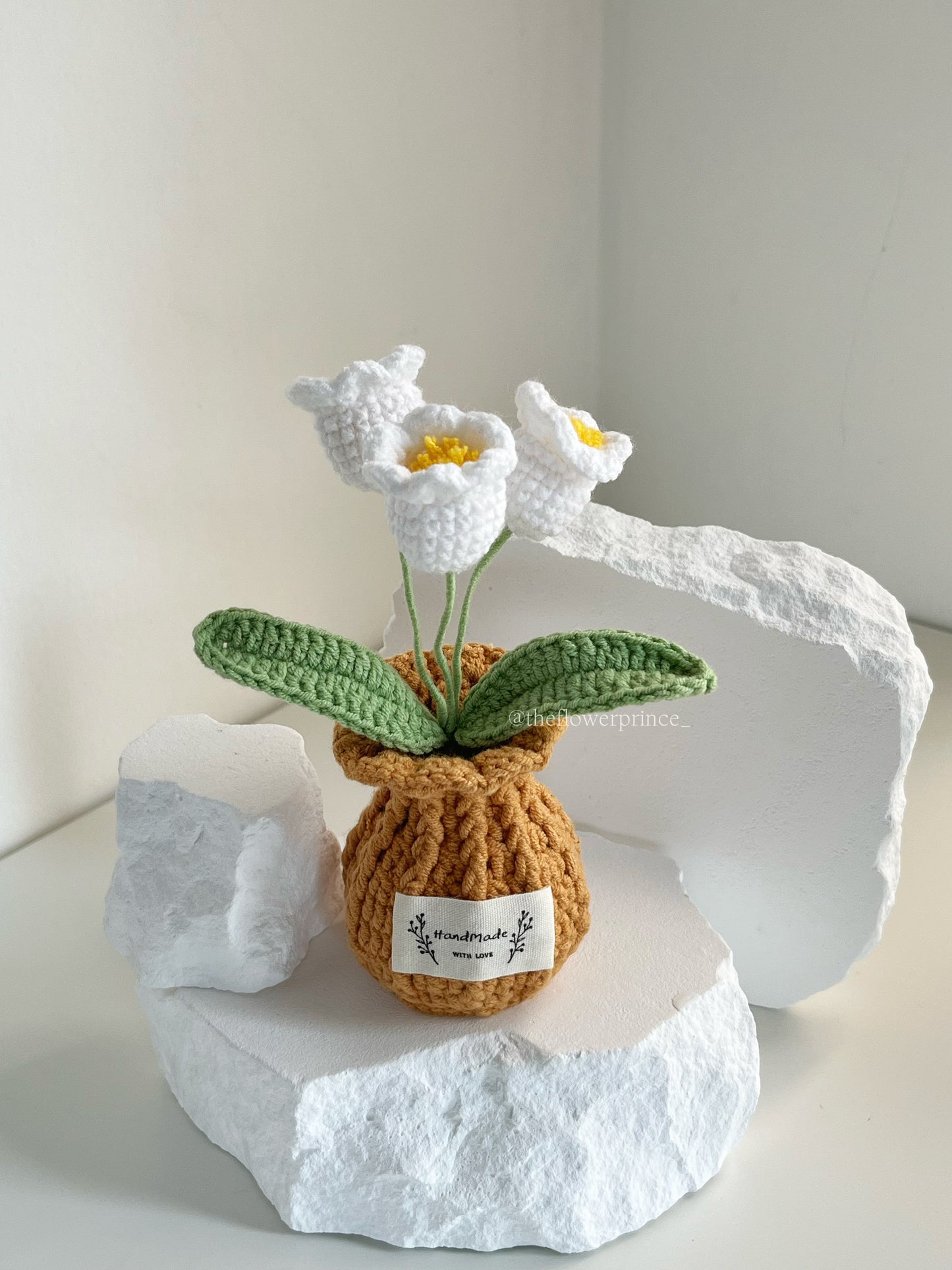 P10 - Lilyvalley Potted