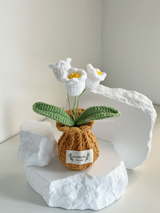 P10 - Lilyvalley Potted