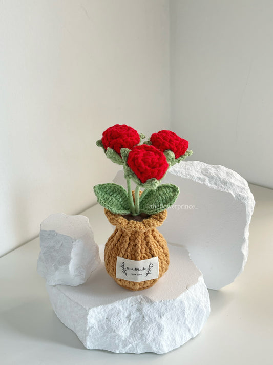 P08 - Red Roses Potted