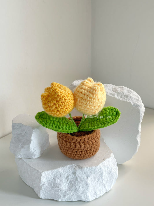 P06 - Yellow Tulip Mini Potted