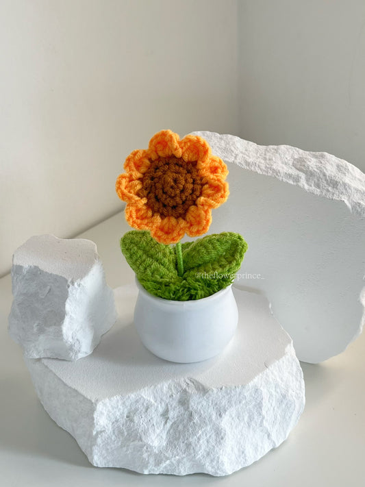 P05 - Sunflower Mini Potted (white based)