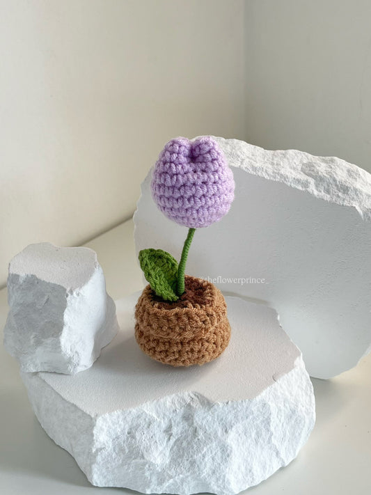 P02 - Purple Tulip Mini Potted