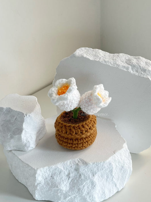 P04 - Lilyvalley Mini Potted