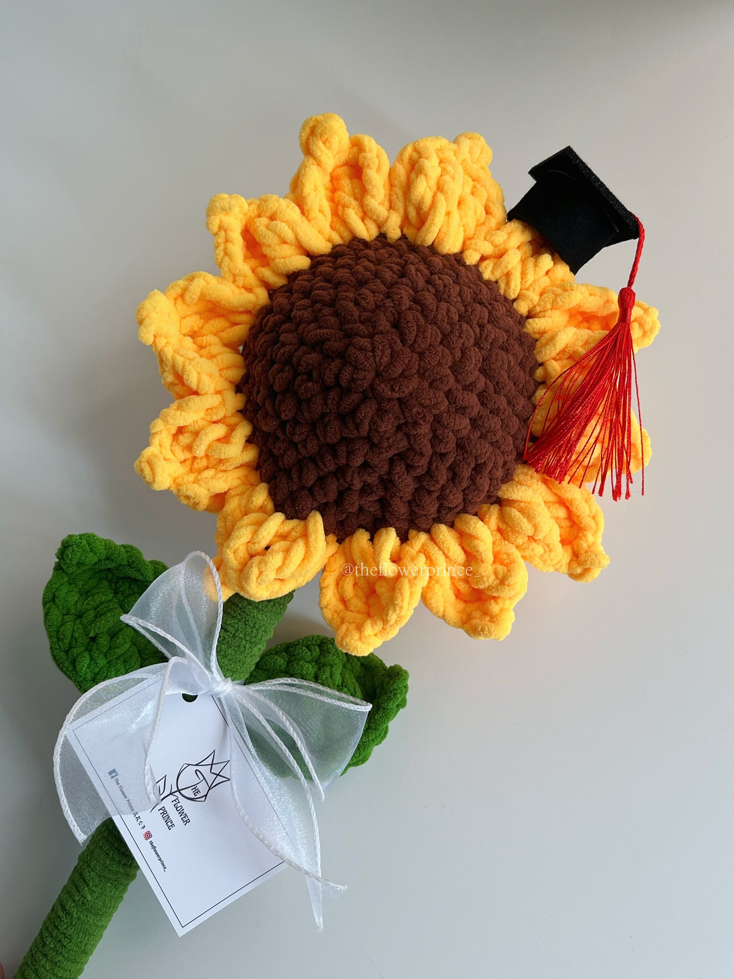 🎓🌻Giant Graduation Sunflower