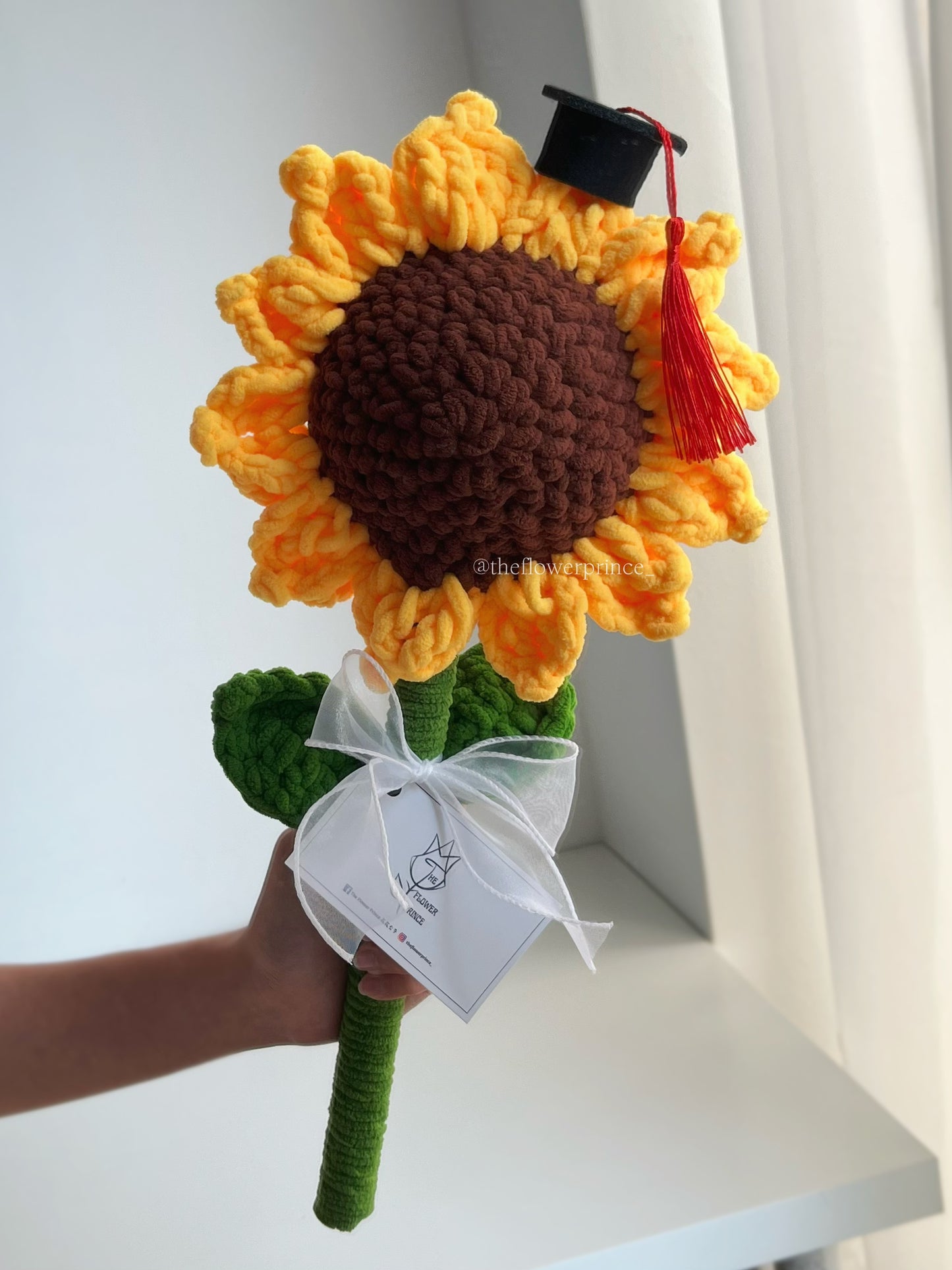 🎓🌻Giant Graduation Sunflower